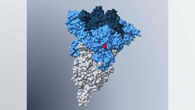 Modell des Spike-Proteins der Omikron-Subvariante BA.5