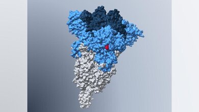 Spike_BA5.jpg Modell des Spike-Proteins der Omikron-Subvariante BA.5