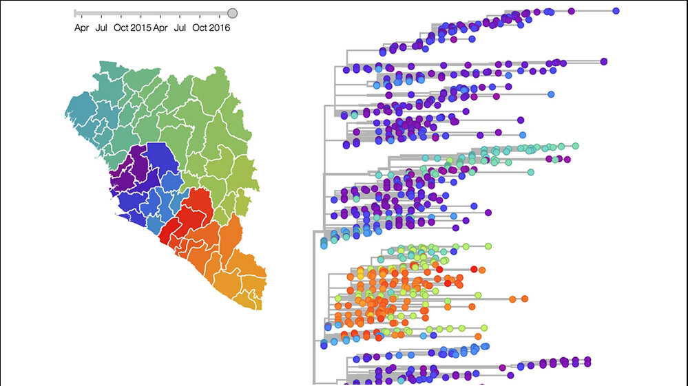 Rekonstruierter Stammbaum der Genome
