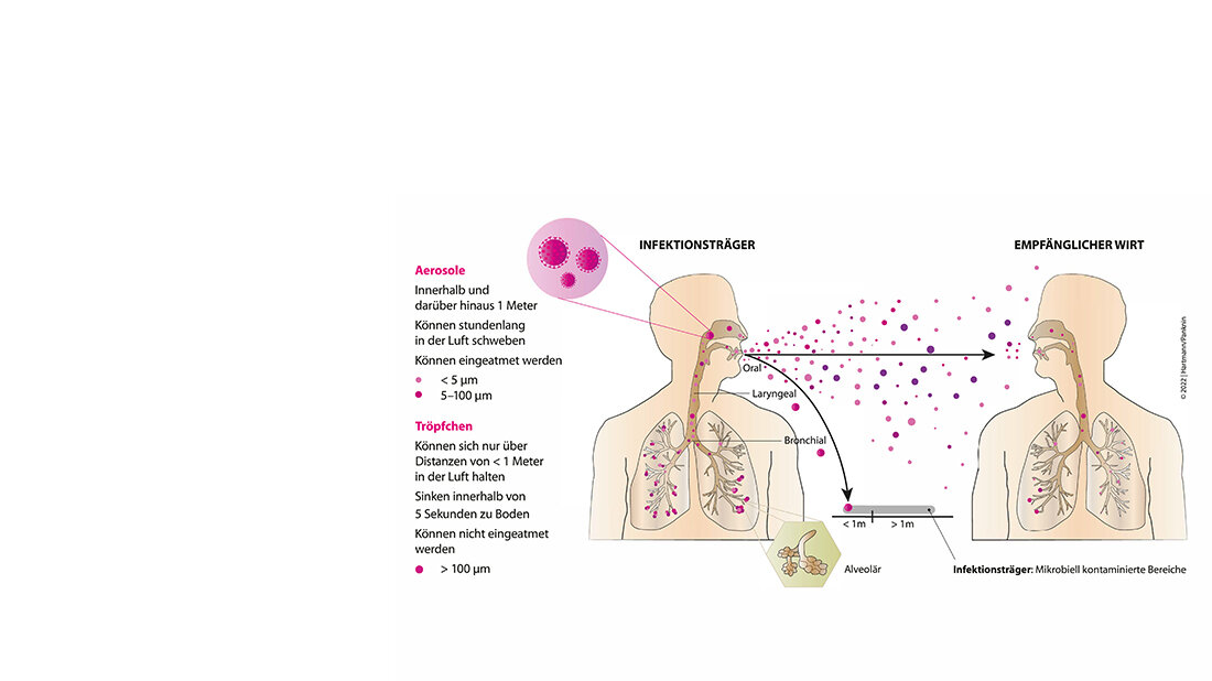 Titelbild von Teil 1 des Fachbeitrags zu Daten und Erkenntnissen aus nosokomialen COVID-19-Infektionen