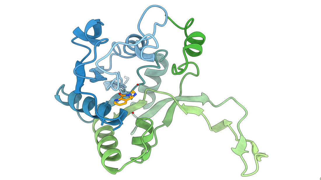 Stoffwechsel_Bakterien.jpg Bakterien Stoffwechsel