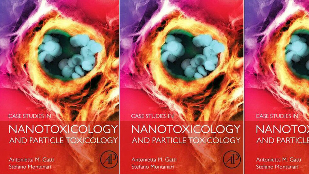 Nanopartikel unter der Lupe