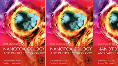 Nanopartikel unter der Lupe