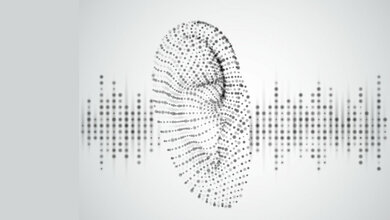 Suche nach den Ursachen für Altersschwerhörigkeit