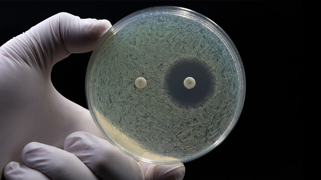 Test auf Antibiotikaresistenz