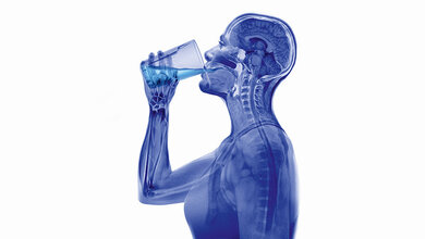 Xogramme: Kreative Ästhetik trifft medizinisches Bild