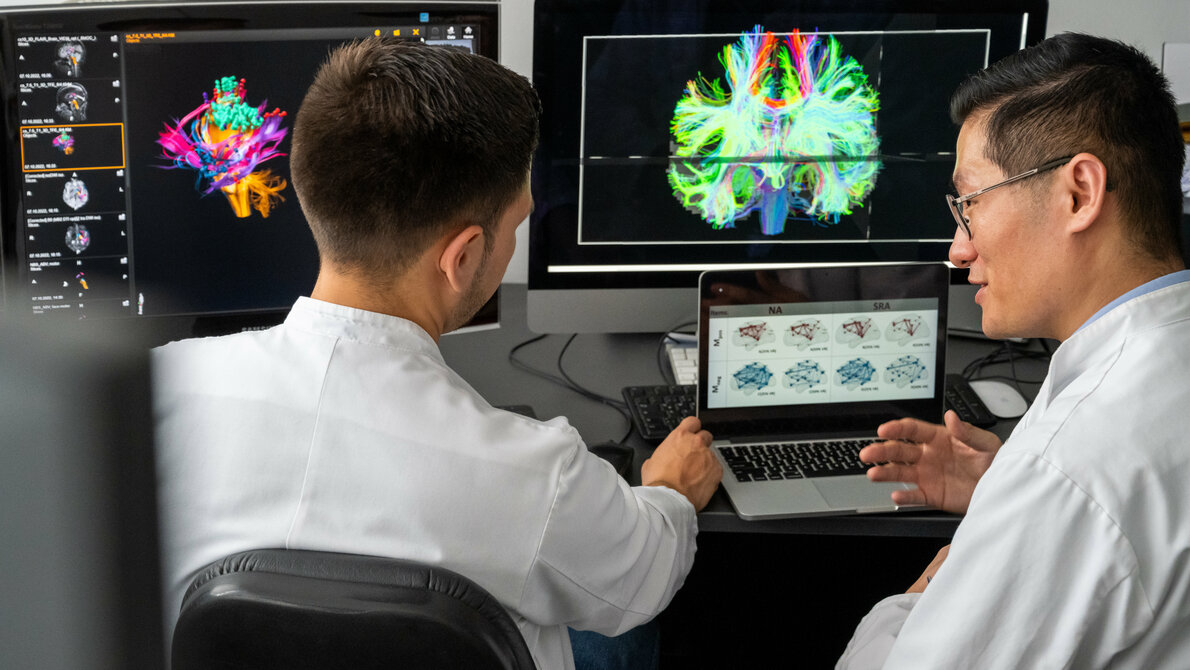 Wissenschaftler analysieren Traktografien von Patienten 