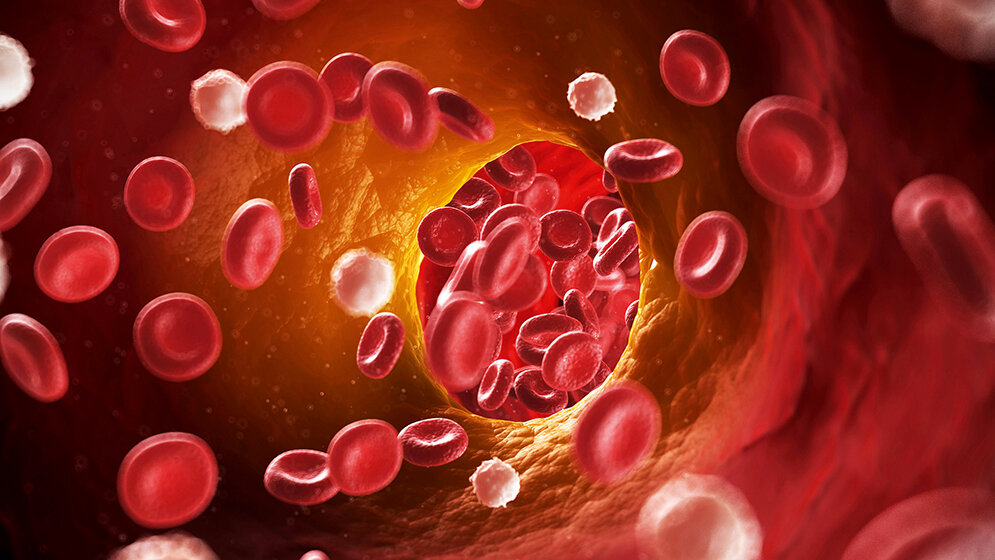 Laboratoriumsmedizin Labordiagnostik