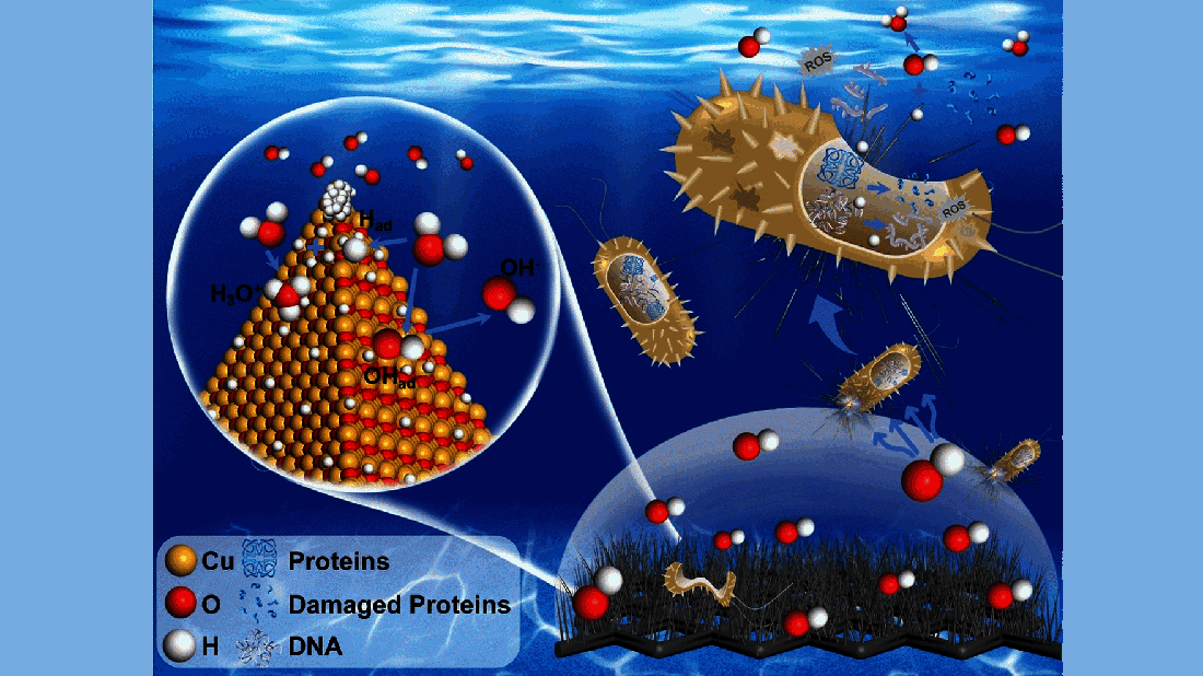 Bakterien_nachhaltigtoeten.png Bakterien abtöten