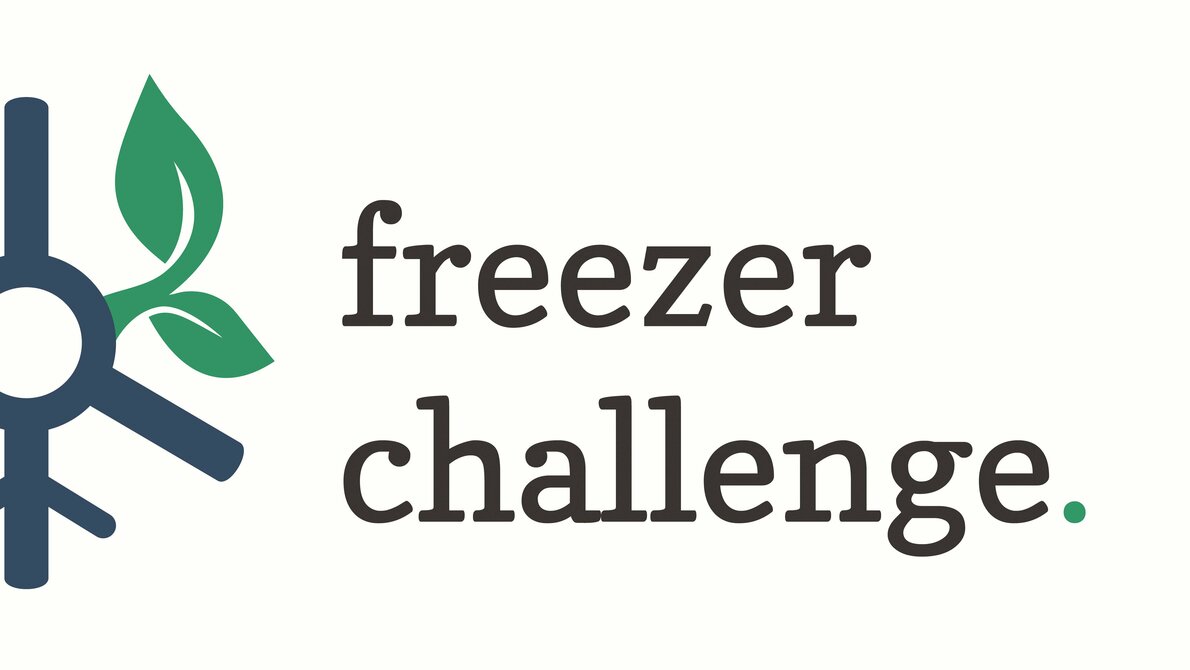 Freezer Challenge