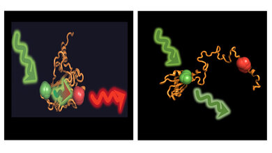 Protein_p53_G_Agam__LMU__V_Dahiya_TUM.jpg Protein p53