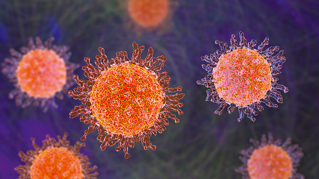 Spezielle Klinische Virologie Darstellung von Viren