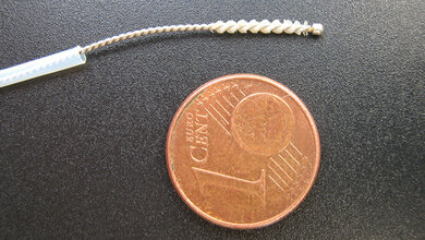 Harnblasenkrebs_IfADo_Golka.jpg Bürste