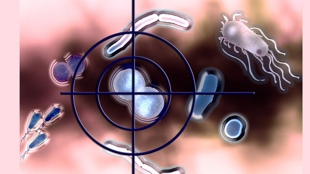 Selektive Antibiotika ermöglichen Präzisionseingriffe