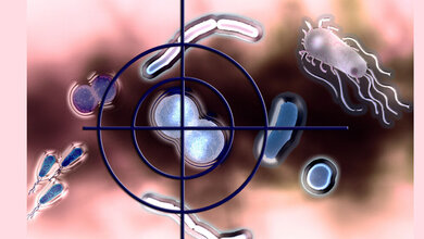 Selektive_Antibiotika_ermoeglichen_Praezisionseingriffe_im_Mikrobiom_Computergrafik_Universitaet_Konstanz.jpg Selektive Antibiotika ermöglichen Präzisionseingriffe