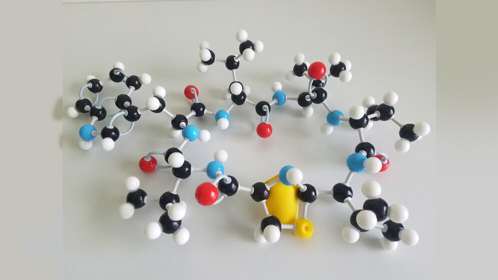 Strukturmodell von Lugdunin