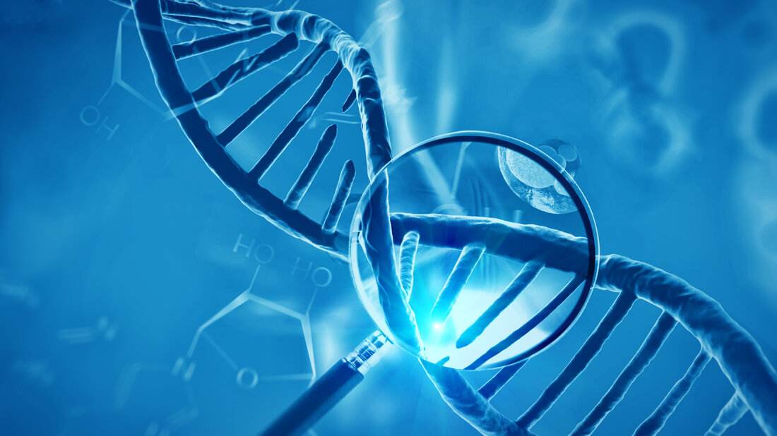 Viele unerforschte Genabschnitte 