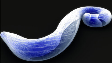 Malaria Erreger
