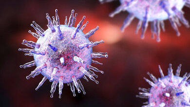 Eppstein-Barr-Virus