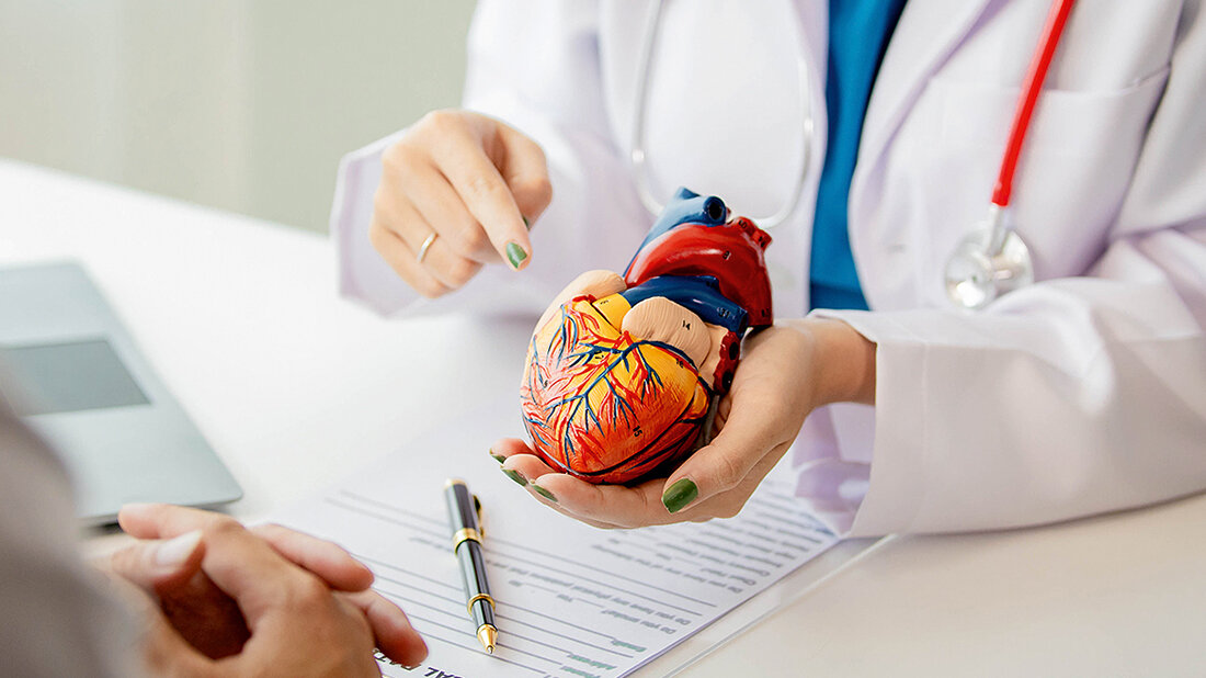 Foto eines plastischen Modells des Herzens