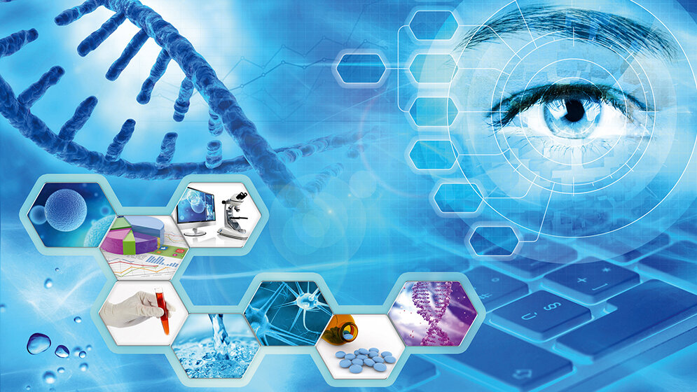 Laboratoriumsmedizin Ahnenforschung per Genanalyse