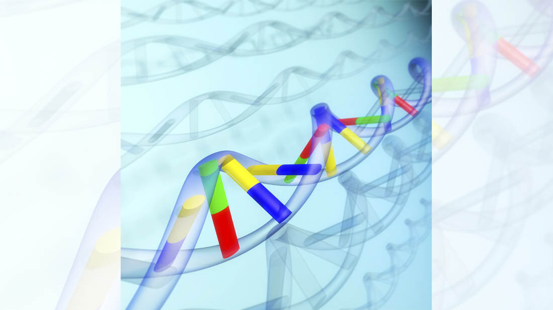 Genom.jpg Symbolbild für DNA-Strang