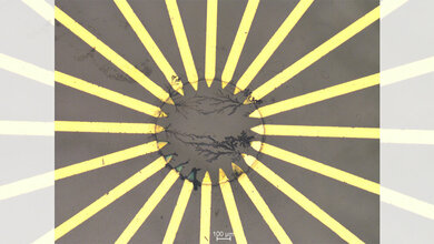 Polymer-basiertes künstliches neuronales Netz