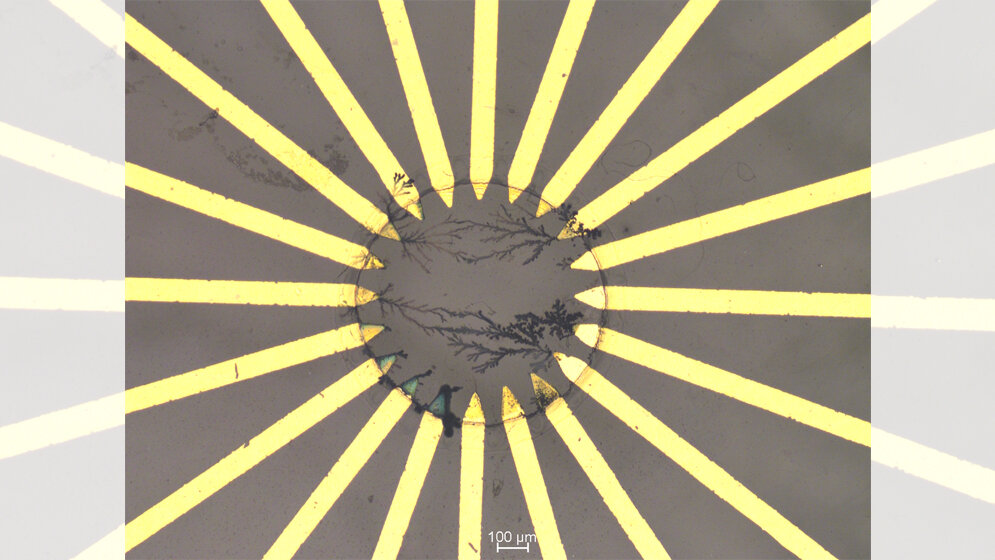 Polymer-basiertes künstliches neuronales Netz