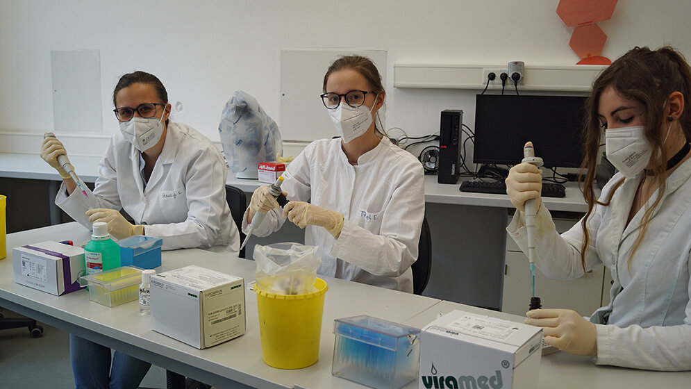 Schüler erstellen eigene Coronastudie