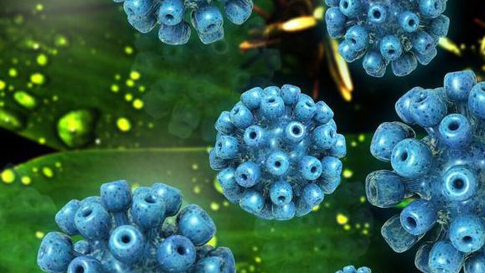 Therapiestandards Hepatitis C