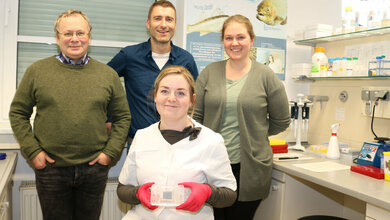 Zellkulturen_des_Zuchtlachses_FBN.jpg Zellkulturen des Zuchtlachses