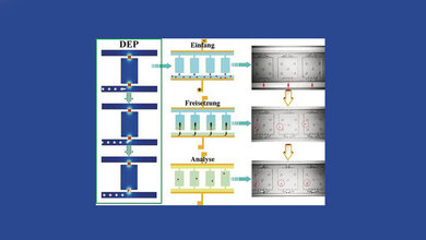 Auf Mikrofluidtechnik basierender Chip 