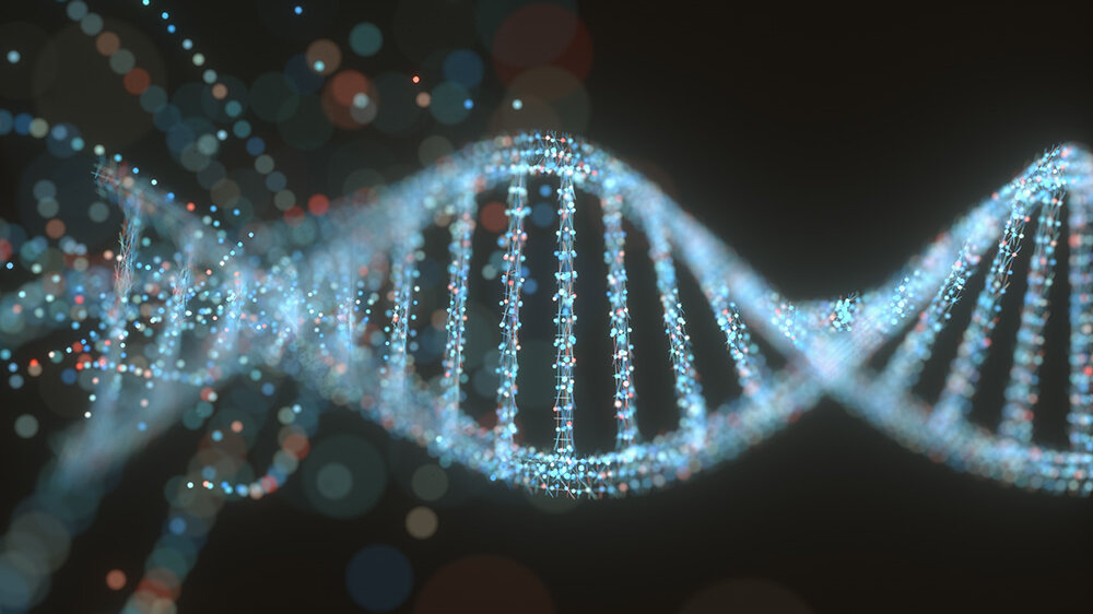 DNA-Molekuel_AdobeStock_183680102.jpeg DNA-Molekül