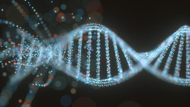 DNA-Molekuel_AdobeStock_183680102.jpeg DNA-Molekül