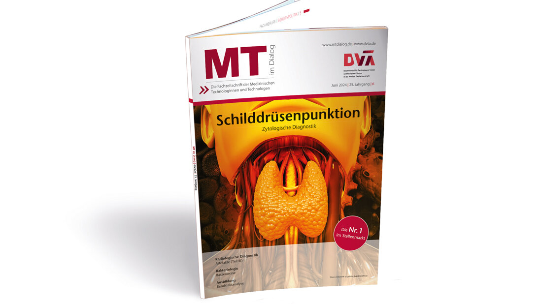 Cover der Ausgabe MT im Dialog 6 aus 2024