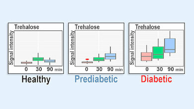 Zucker und Zuckerverbindungen im Fokus
