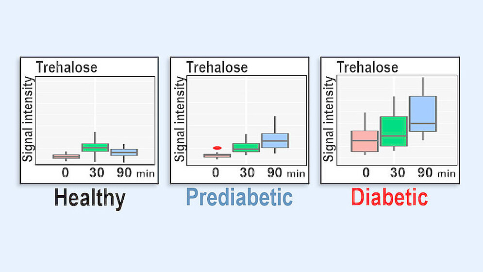 Zucker und Zuckerverbindungen im Fokus