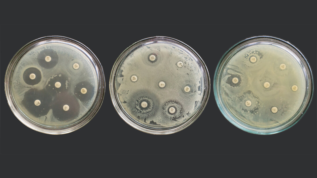 Resistenzen.jpg Kampf gegen antimikrobielle Resistenzen