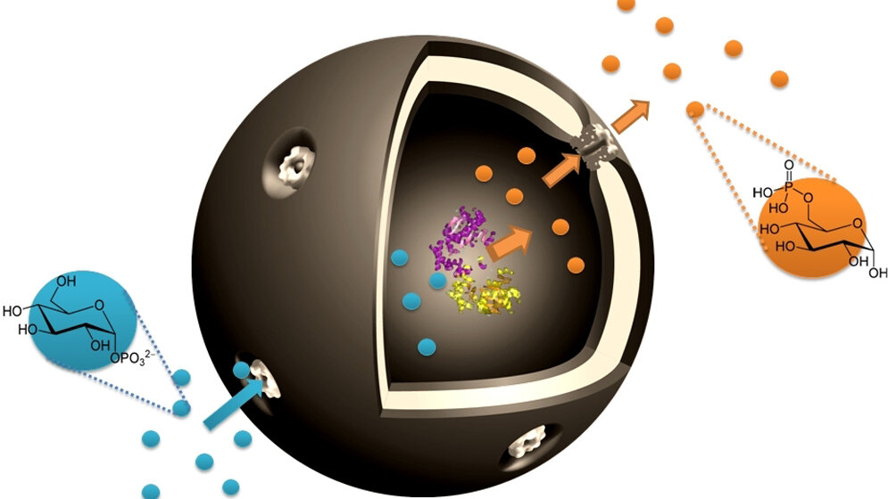Schematische Darstellung der Nano-Kapsel