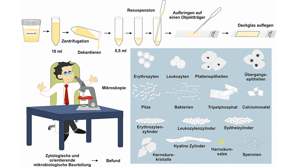 Digitale Lehre in Zeiten von Corona mal anders ... es geht weiter!