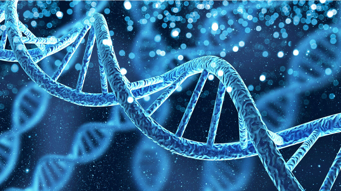 DNA_Helix.jpg DNA Helix