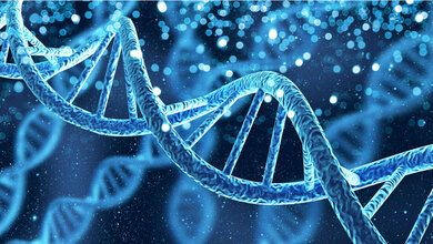 DNA_Helix.jpg DNA Helix