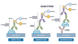 Grafik mit Darstellung von drei ELISA-Typen