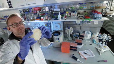 Dr. Thorsten Heinekamp aus dem Jenaer Forschungsteam