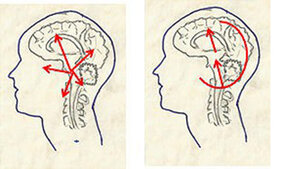 Neurologie