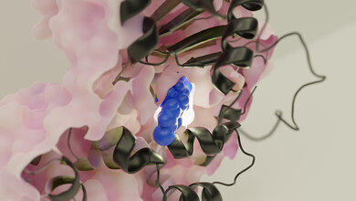 Pathoblocker_Salmonellen.jpg Pathoblocker C26