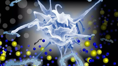 Neues Material für mechanische Herzklappen reduziert Blutgerinnung