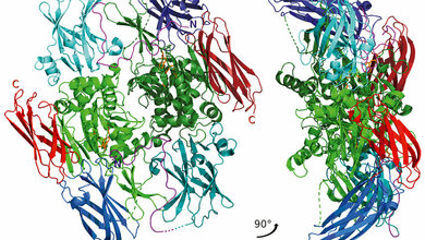 Hämatologie Hämostaseologie – Gerinnungsfaktor XIII