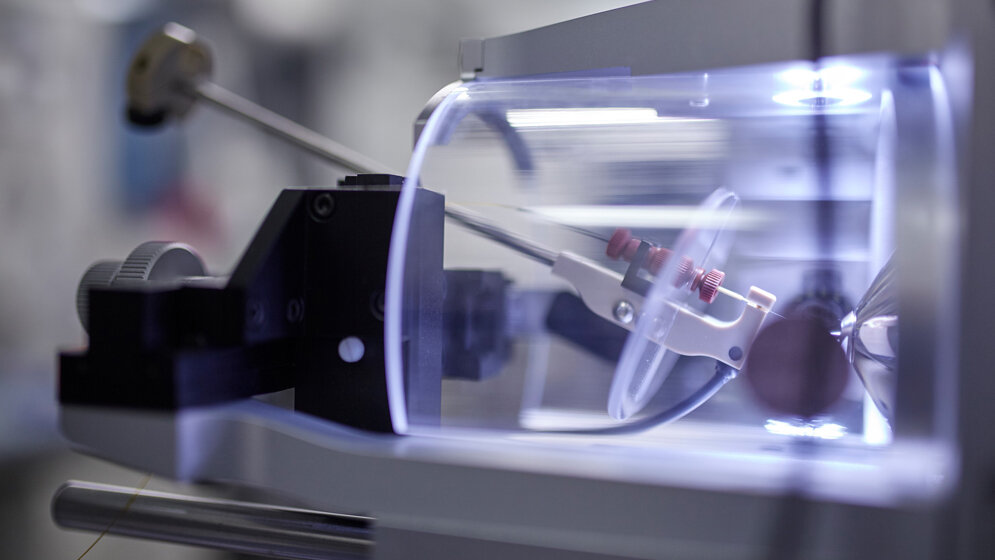 Biomarker-Profile bei COVID-19