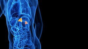 Bildgebende Verfahren